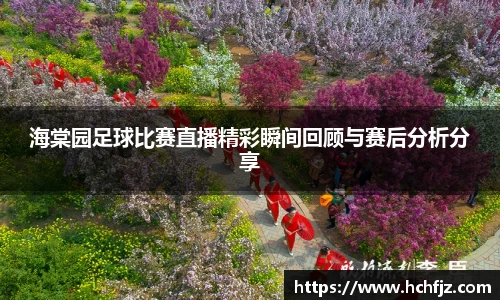 海棠园足球比赛直播精彩瞬间回顾与赛后分析分享